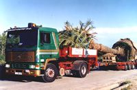 camión grua en Tarragona volvo f12 tc 36 tractor